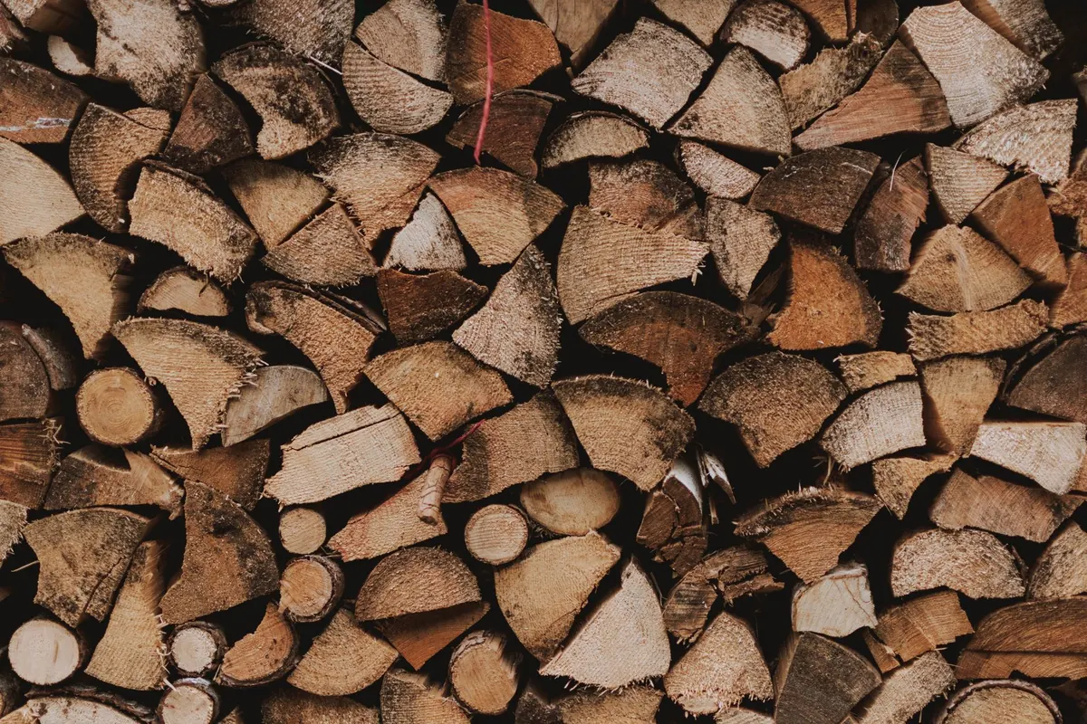 Kiln-Dried vs Seasoned Firewood: What Should You Burn?